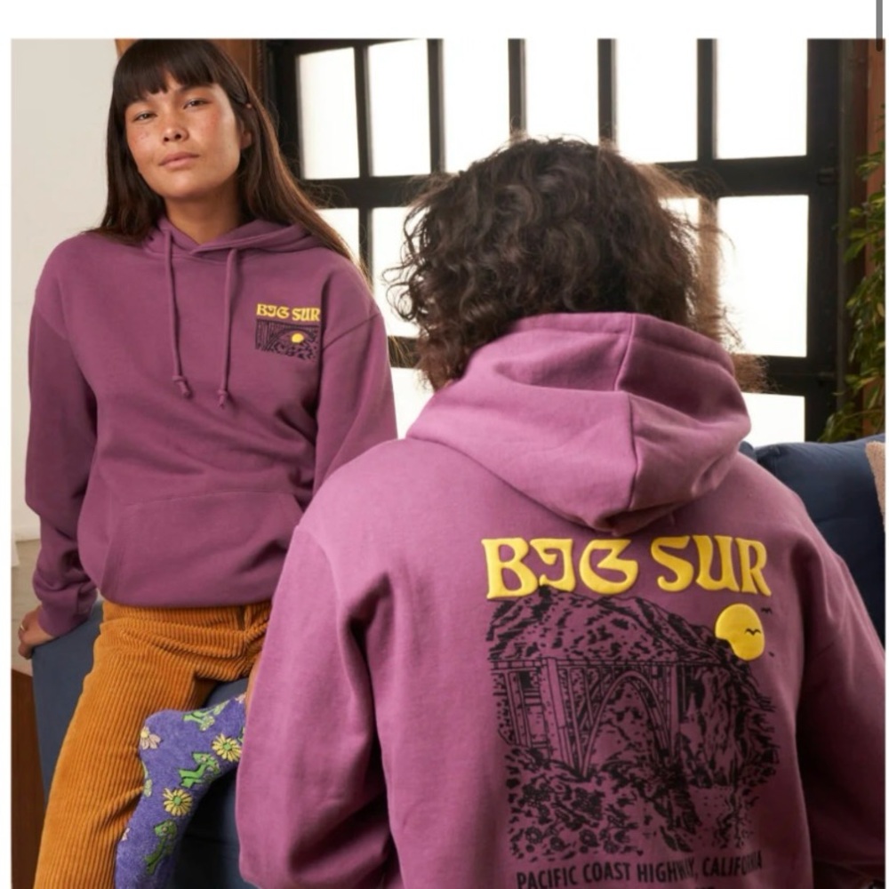 Parks Project Big Sur California puff print hoodie